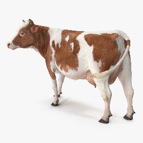 3D model Red and White Cow